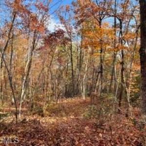 Photo #14 of 1928 Frye, Westfield, NC 77.0 acres
