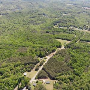 Photo #37 of 1928 Frye, Westfield, NC 77.0 acres