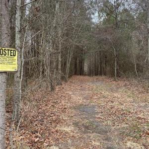Photo #3 of 184AC Gates Road, Suffolk, Virginia 184.0 acres