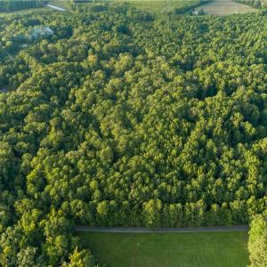 Photo #15 of Island Road, Gloucester, Virginia 10.5 acres
