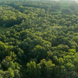 Photo #16 of Island Road, Gloucester, Virginia 10.5 acres