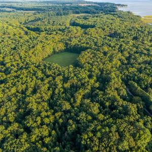 Photo #22 of Island Road, Gloucester, Virginia 10.5 acres