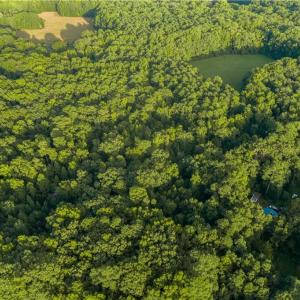 Photo #24 of Island Road, Gloucester, Virginia 10.5 acres