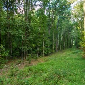 Photo #7 of Island Road, Gloucester, Virginia 10.5 acres