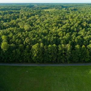 Photo #9 of Island Road, Gloucester, Virginia 10.5 acres