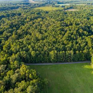 Photo #10 of Island Road, Gloucester, Virginia 10.5 acres