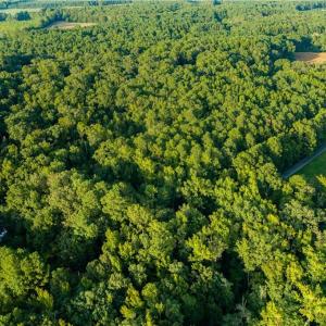 Photo #5 of Island Road, Gloucester, Virginia 10.5 acres