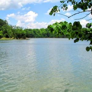 Photo #1 of 1021 Old Wormley Creek Road, Yorktown, Virginia 3.5 acres
