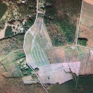 Photo #5 of 2237 Shillelagh Road, Chesapeake, Virginia 97.9 acres