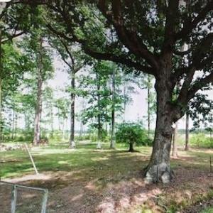 Photo #2 of 2237 Shillelagh Road, Chesapeake, Virginia 97.9 acres