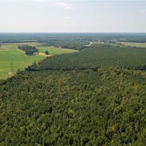 Photo #11 of 26612 DOGWOOD BEND Road, Franklin, Virginia 300.0 acres