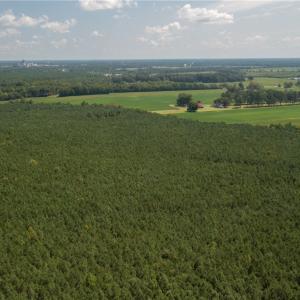 Photo #12 of 26612 DOGWOOD BEND Road, Franklin, Virginia 300.0 acres