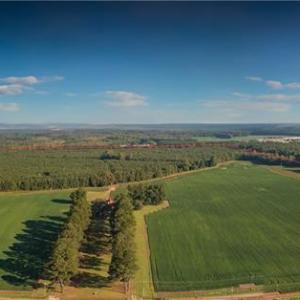 Photo #3 of 26612 DOGWOOD BEND Road, Franklin, Virginia 300.0 acres