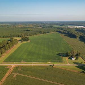 Photo #4 of 26612 DOGWOOD BEND Road, Franklin, Virginia 300.0 acres