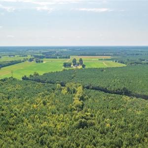 Photo #5 of 26612 DOGWOOD BEND Road, Franklin, Virginia 300.0 acres