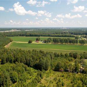 Photo #6 of 26612 DOGWOOD BEND Road, Franklin, Virginia 300.0 acres