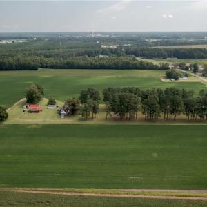 Photo #7 of 26612 DOGWOOD BEND Road, Franklin, Virginia 300.0 acres