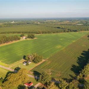 Photo #8 of 26612 DOGWOOD BEND Road, Franklin, Virginia 300.0 acres