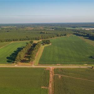 Photo #9 of 26612 DOGWOOD BEND Road, Franklin, Virginia 300.0 acres