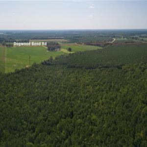 Photo #10 of 26612 DOGWOOD BEND Road, Franklin, Virginia 300.0 acres