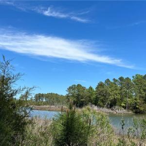 Photo #6 of 1.12ac HORSE Road, Hayes, Virginia 1.1 acres