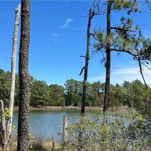 Photo #7 of 1.12ac HORSE Road, Hayes, Virginia 1.1 acres