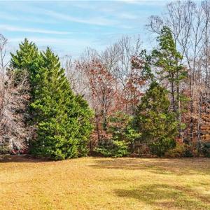 Photo #13 of Conrad, Lewisville, NC 1.1 acres