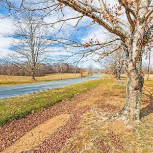 Photo #11 of Conrad, Lewisville, NC 1.1 acres