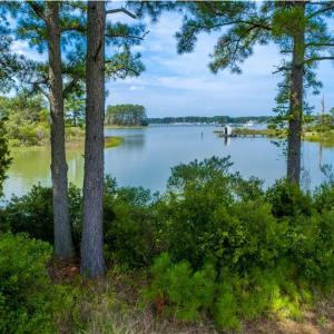 View from the edge of property