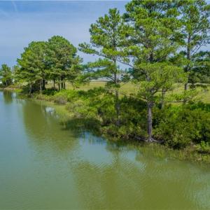 Fun and relaxation on the water’s edge