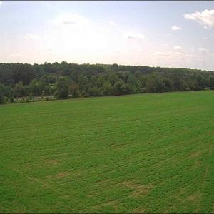 Photo #11 of 11356 OLD SUFFOLK Road, Windsor, Virginia 29.9 acres
