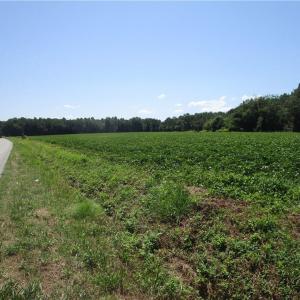 Photo #3 of 11356 OLD SUFFOLK Road, Windsor, Virginia 29.9 acres