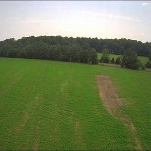 Photo #10 of 11356 OLD SUFFOLK Road, Windsor, Virginia 29.9 acres