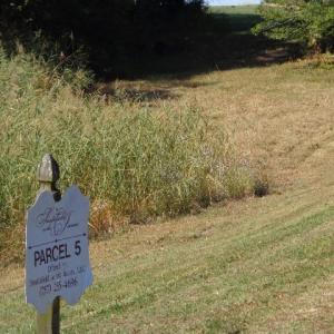 Photo #12 of 8020 Rocks Landing Road, Smithfield, Virginia 17.5 acres