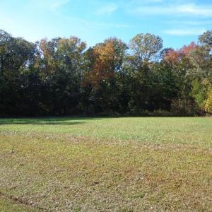 Photo #13 of 8020 Rocks Landing Road, Smithfield, Virginia 17.5 acres