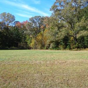 Photo #14 of 8020 Rocks Landing Road, Smithfield, Virginia 17.5 acres