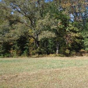Photo #15 of 8020 Rocks Landing Road, Smithfield, Virginia 17.5 acres