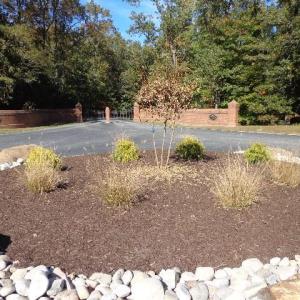 Photo #17 of 8020 Rocks Landing Road, Smithfield, Virginia 17.5 acres