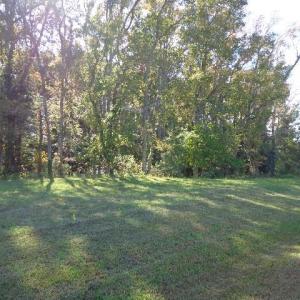 Photo #3 of 8020 Rocks Landing Road, Smithfield, Virginia 17.5 acres