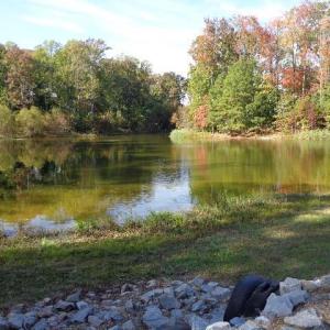 Photo #6 of 8020 Rocks Landing Road, Smithfield, Virginia 17.5 acres
