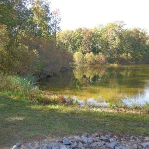 Photo #7 of 8020 Rocks Landing Road, Smithfield, Virginia 17.5 acres