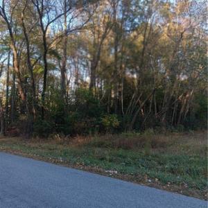 Photo #6 of SOLD property in 5 AC Signpost Road, Courtland, Virginia 5.0 acres