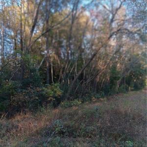 Photo #8 of SOLD property in 5 AC Signpost Road, Courtland, Virginia 5.0 acres