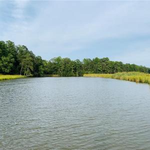 Late Summer Views of the Marshes along the Tip of Lot 4 Paddock's Waterfront