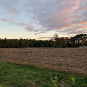 The 2.67 Acres After Corn Harvested. Sunsets paint the evening sky
