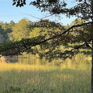 Photo #11 of Lot 4 Paddock Drive, Lancaster, Virginia 7.6 acres