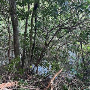 Photo #18 of Lot 4 Paddock Drive, Lancaster, Virginia 7.6 acres