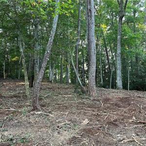 Photo #19 of Lot 4 Paddock Drive, Lancaster, Virginia 7.6 acres