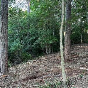 Photo #20 of Lot 4 Paddock Drive, Lancaster, Virginia 7.6 acres