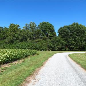 Paddock Drive in - 2.67 Acres along the Left Side of Paddock-Waterfront Acreage straight ahead